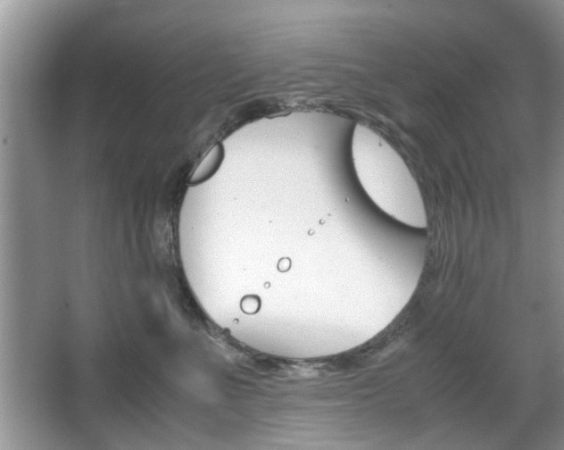 X0000067910523200604131112