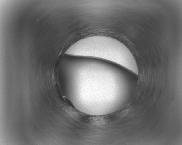 X0000067910524200604131112