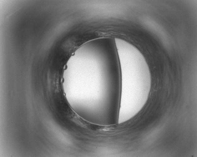 X0000067910525200604131112