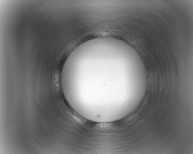 X0000067910526200604131112