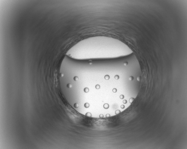 X0000067910527200604131112