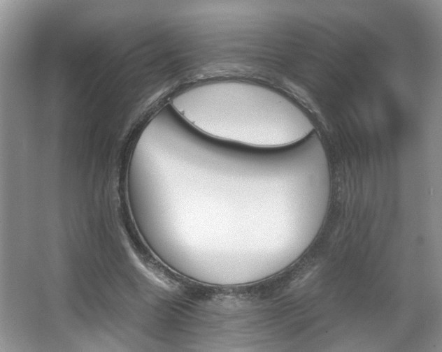 X0000067910538200604131111