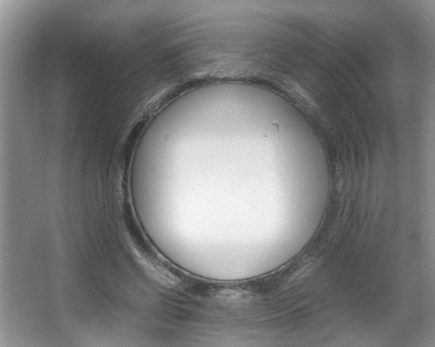 X0000067910542200604131111