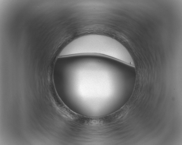 X0000067910546200604131111