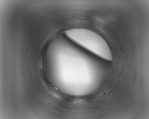 X0000067910547200604131111