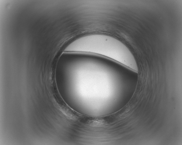 X0000067910548200604131111