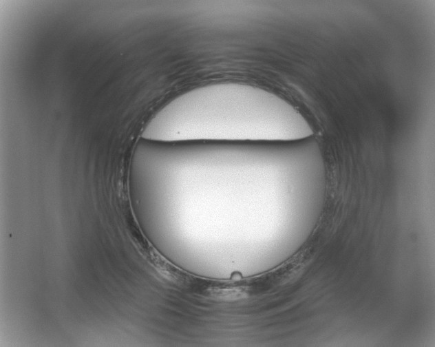 X0000067910553200604131111