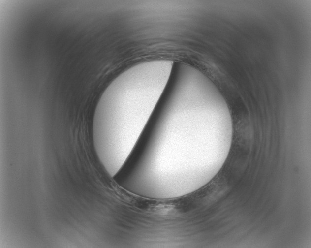 X0000067910554200604131111