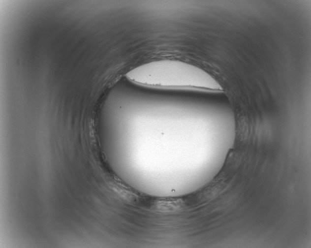 X0000067910571200604131112