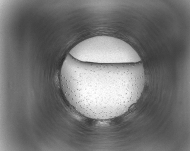 X0000067910573200604131112