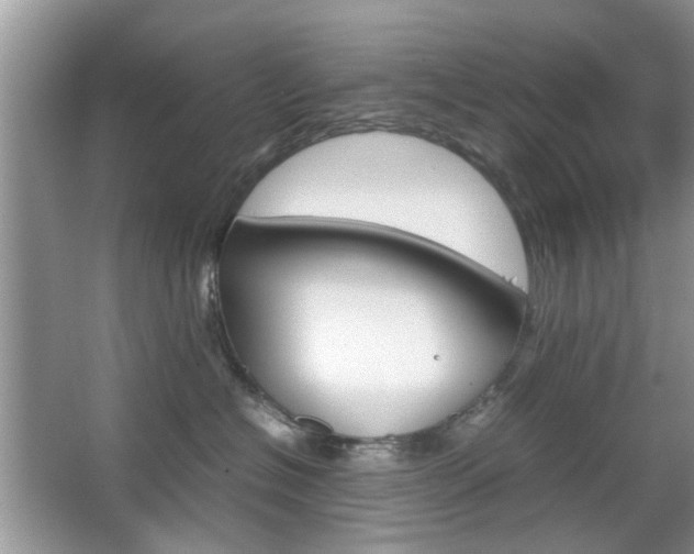 X0000067910574200604131112