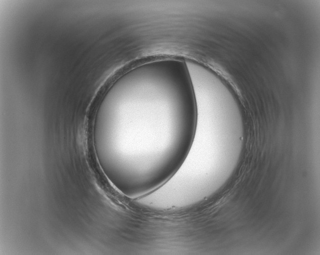 X0000067910580200604131111