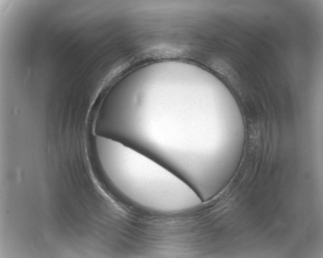 X0000067910582200604131111