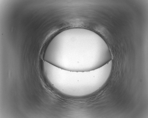 X0000067910583200604131111