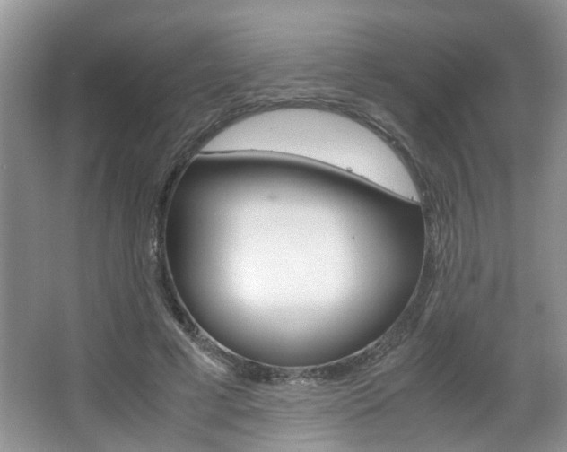 X0000067910593200604131111