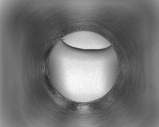 X0000067910602200604131110
