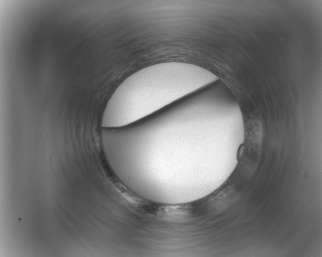 X0000067910622200604131110