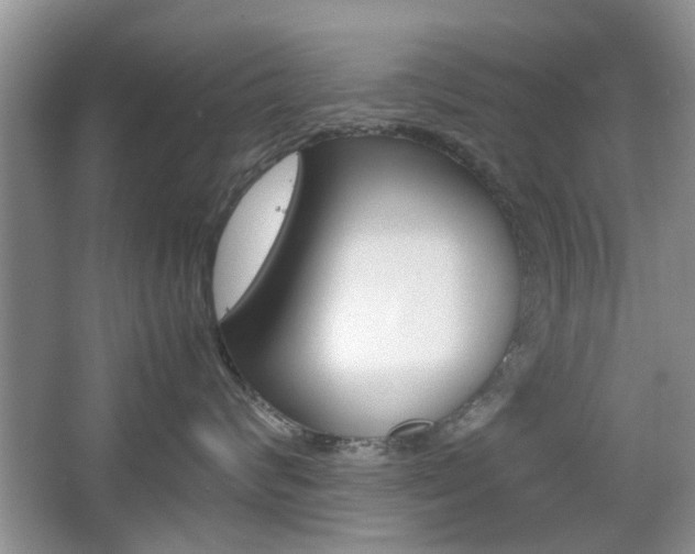 X0000067910624200604131110