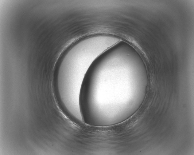 X0000067910629200604131109