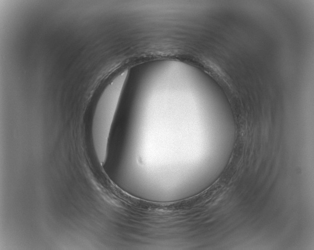 X0000067910635200604131109