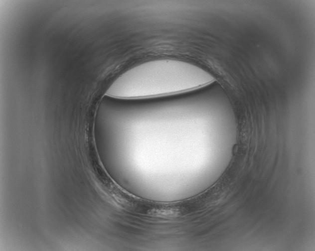 X0000067910639200604131109