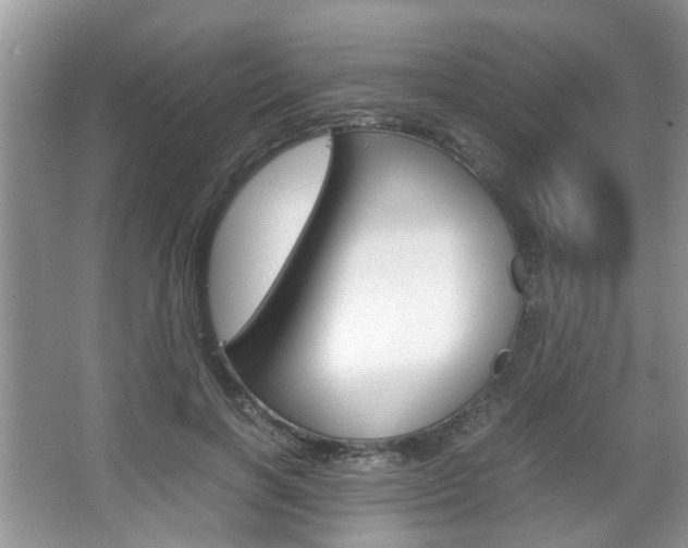 X0000067910646200604131110