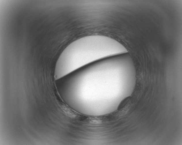 X0000067910658200604131110