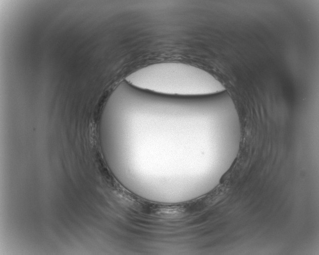 X0000067910659200604131110