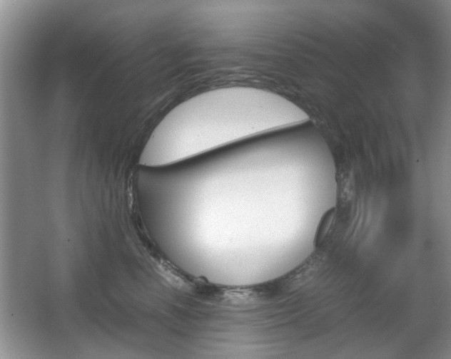X0000067910666200604131110