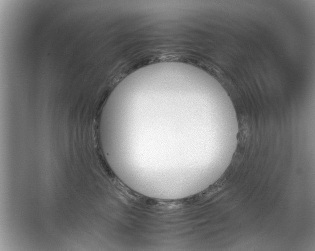 X0000067910667200604131110