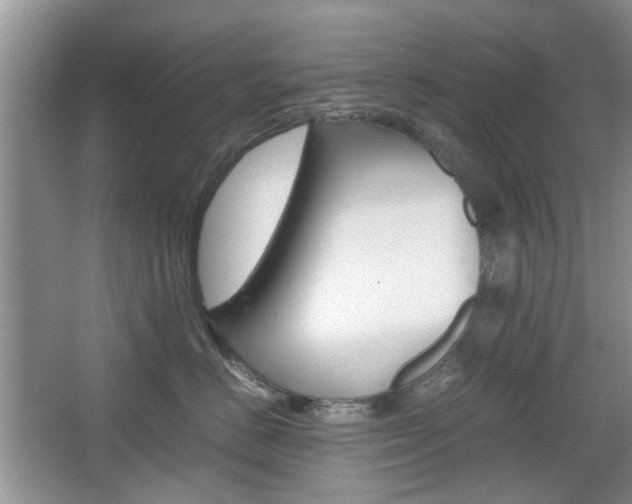 X0000067910670200604131110