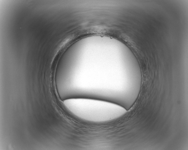 X0000067910679200604131109