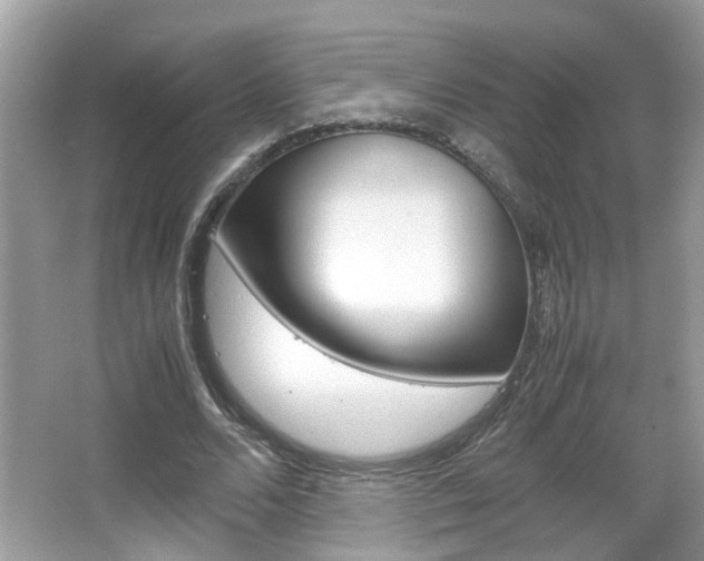 X0000067910680200604131109