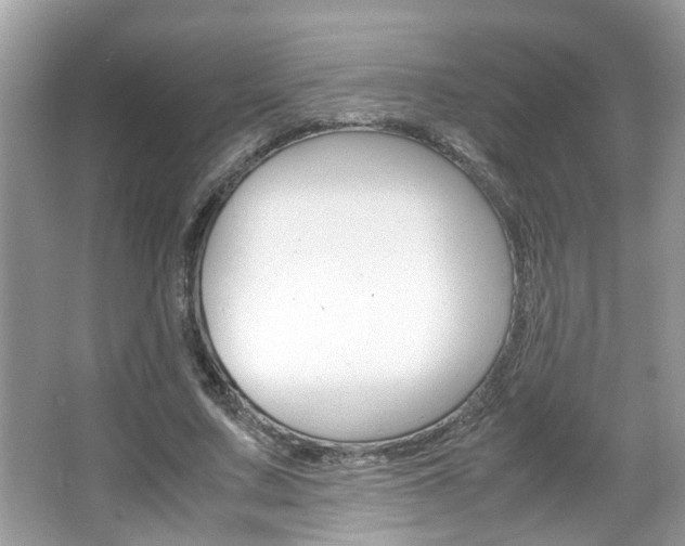 X0000067910683200604131109