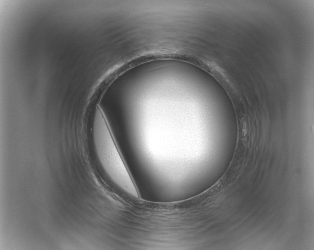 X0000067910684200604131109