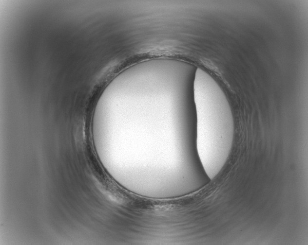 X0000067910686200604131109