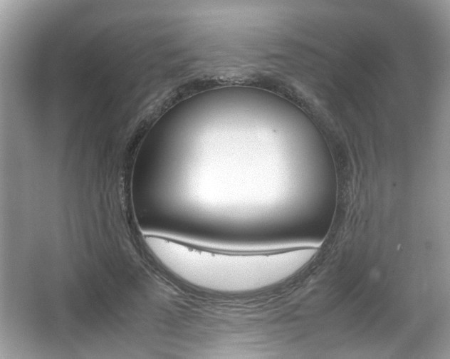 X0000067910689200604131109
