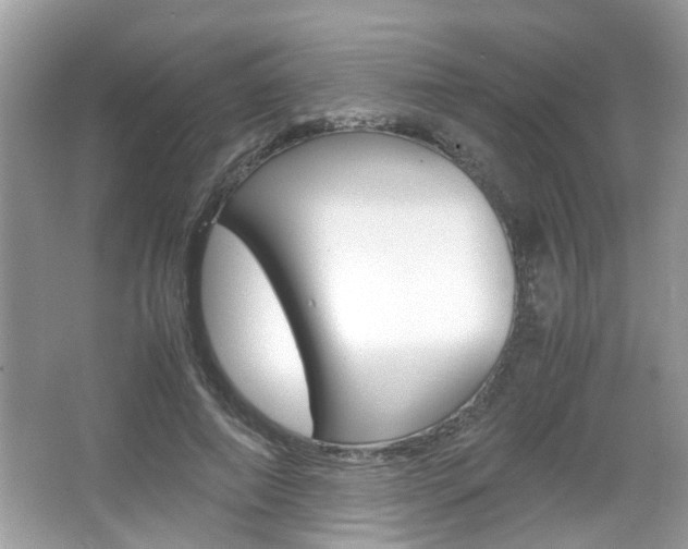 X0000067910690200604131109