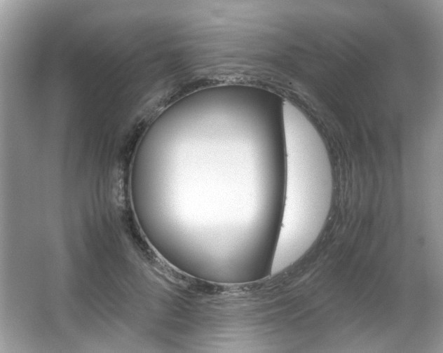 X0000067910696200604131109
