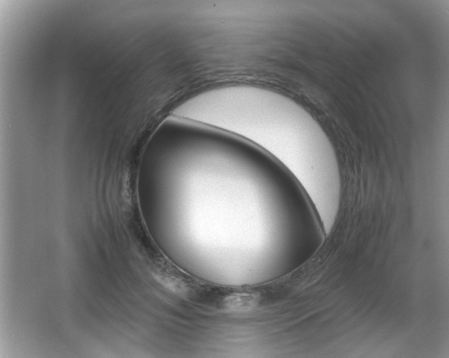 X0000067910700200604131109