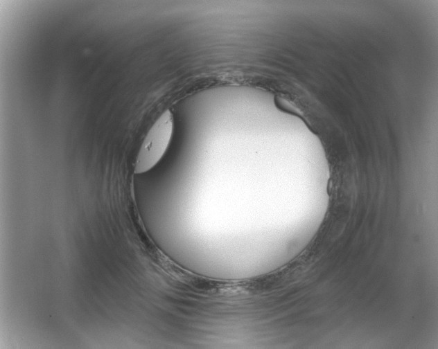 X0000067910702200604131109