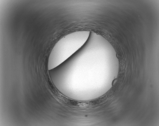 X0000067910703200604131109