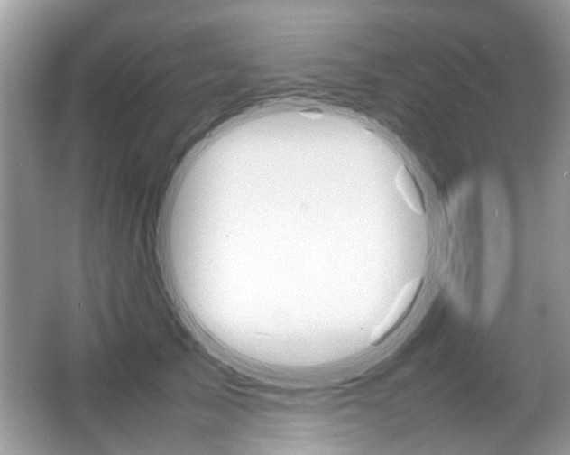 X0000067910705200604131109