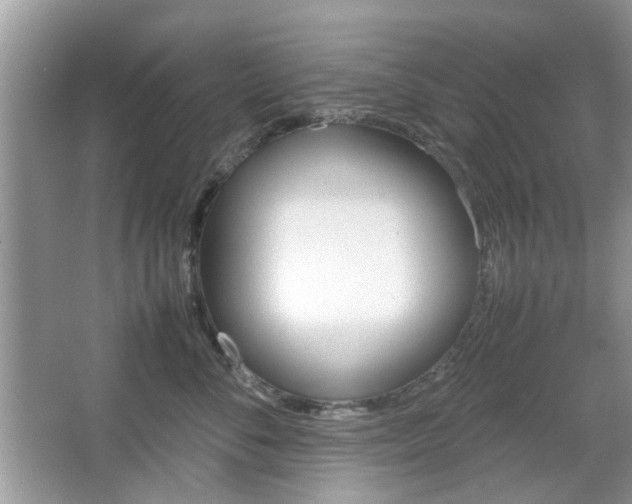X0000067910716200604131108
