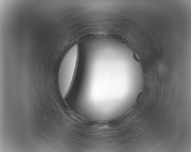 X0000067910747200604131108
