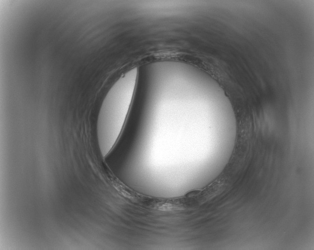X0000067910755200604131108