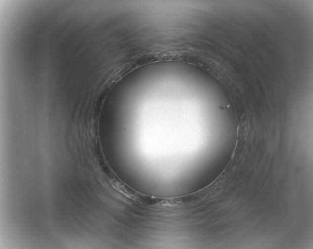 X0000067910756200604131108