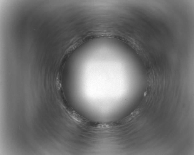 X0000067910764200604131108