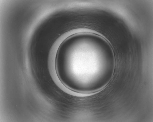 X0000067910766200604131108