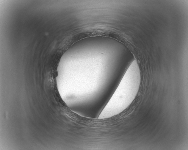 X0000067910771200604131108